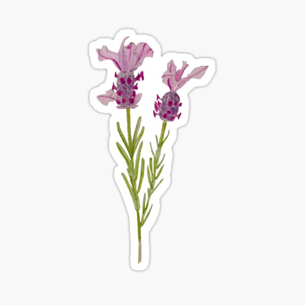 Lavender and Citrine Sticker for Sale by Aspen Workman