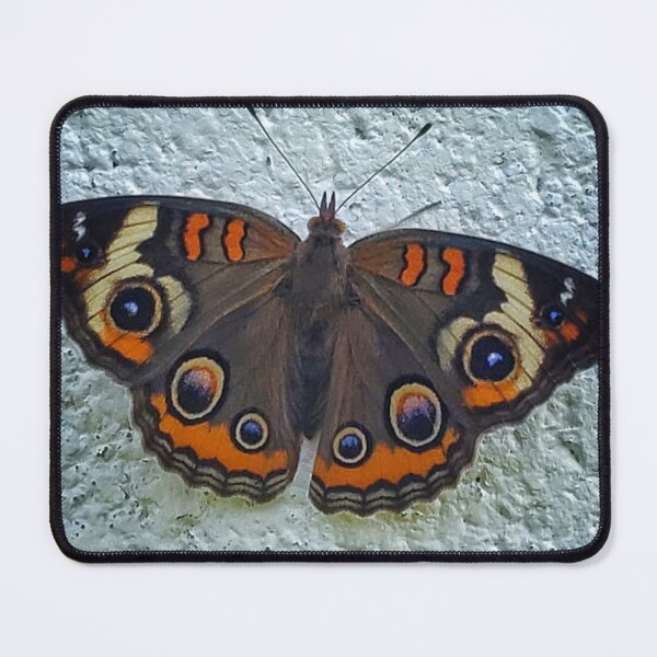 Item preview, Common Buckeye designed and sold by DaneSparrowhawk.