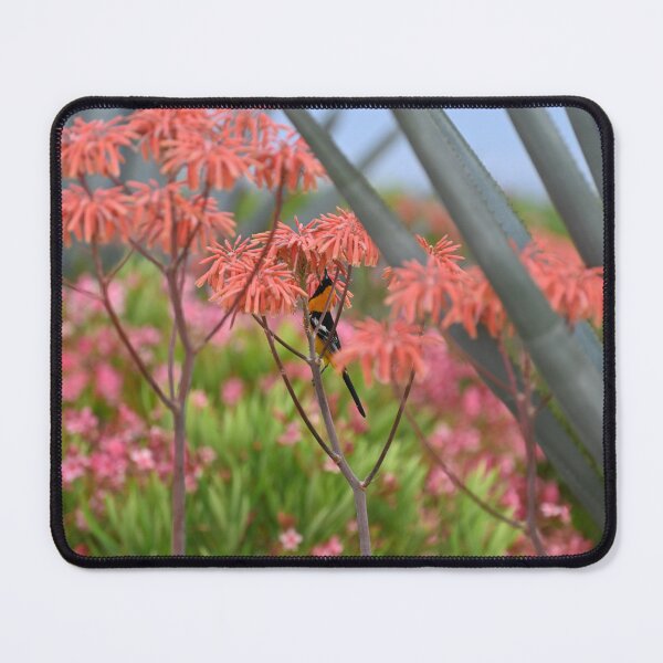 Item preview, Orange Bird (Hooded Oriole) between Maguey and colorful flowers designed and sold by Quantum Starlace.