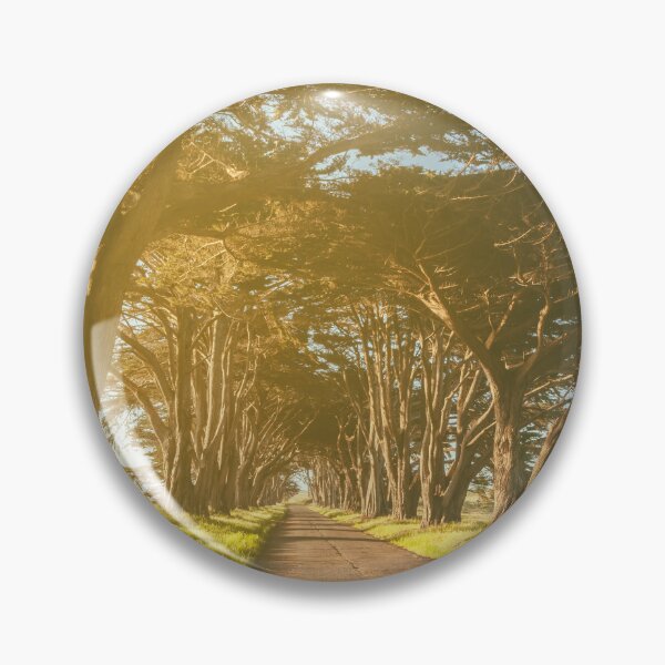 Item preview, Cypress Tunnel designed and sold by jvnimages.
