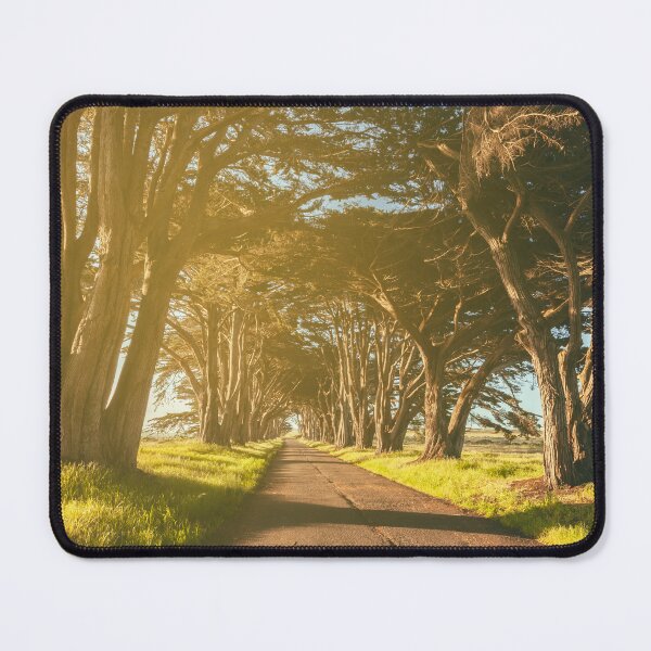 Item preview, Cypress Tunnel designed and sold by jvnimages.