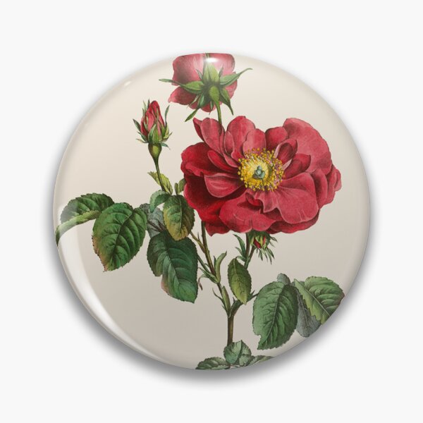 Item preview, Damask Rose Antique Botanical Illustration designed and sold by Antiquated Art.