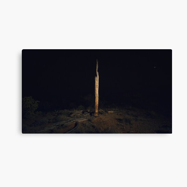 The Last Saguaro Canvas Print