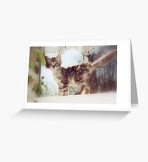 Teaspoon Greeting Card