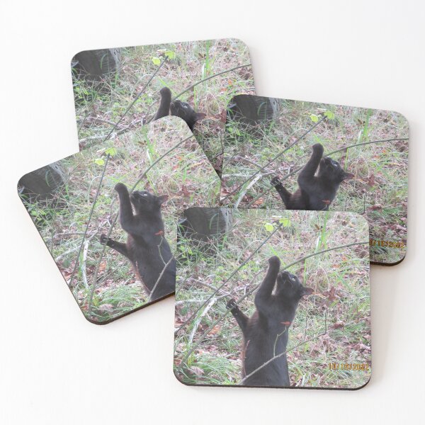 Item preview, Binx in nature designed and sold by TornMinds.