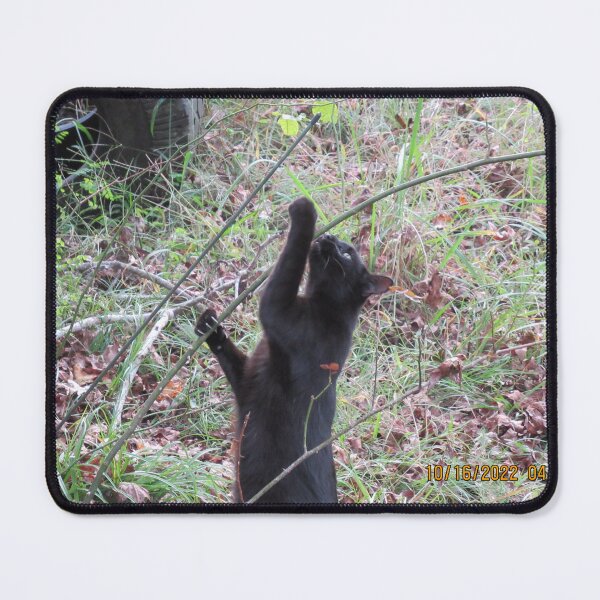 Item preview, Binx in nature designed and sold by TornMinds.