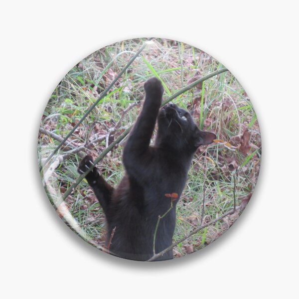 Item preview, Binx in nature designed and sold by TornMinds.