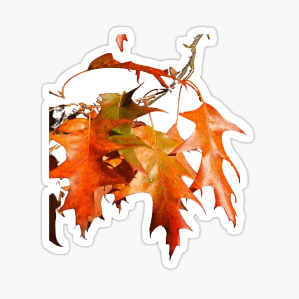 Item preview, I love autumn designed and sold by bouakchach.