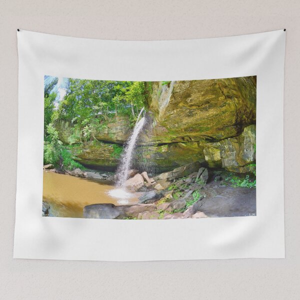Item preview, Buttermilk Falls/Homewood Falls Beaver PA designed and sold by LisaWootenPhoto.