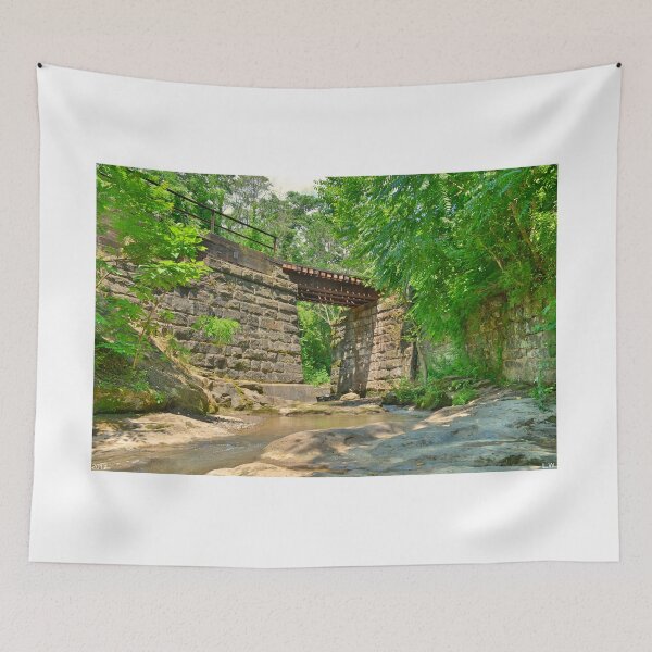 Item preview, Railroad Tracks At Buttermilk/Homewood Falls designed and sold by LisaWootenPhoto.