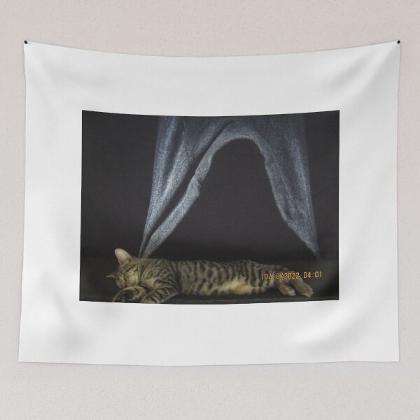Item preview, Floating cat designed and sold by TornMinds.