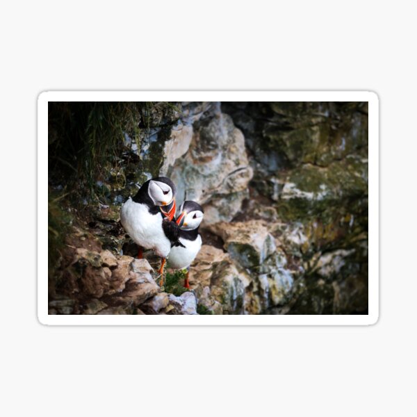 Item preview, Puffin Pair designed and sold by Julie Wilkinson.