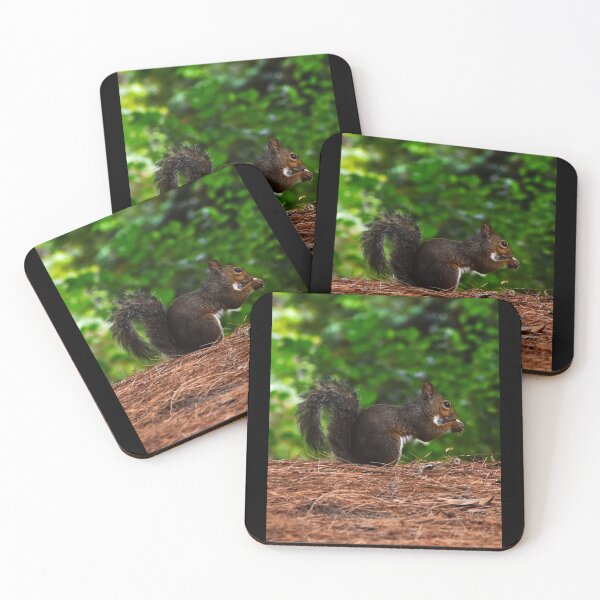 Item preview, Squirrel in Portrait | wildlife photography designed and sold by Mii-pics.