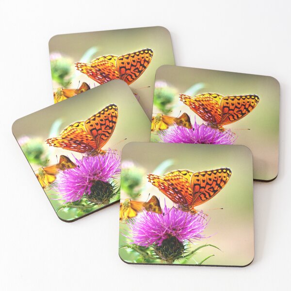 Item preview, Are we late?...... ~ Gila National Forest, New Mexico USA designed and sold by Vicki Pelham.