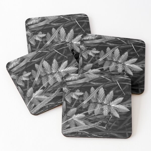 Item preview, Black and White Meadow | nature photography designed and sold by Mii-pics.
