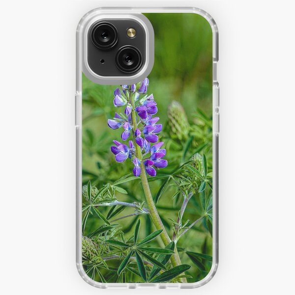 Purple Lupine in Bloom Photographic Art