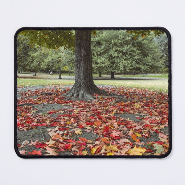Item preview, Autumn forest designed and sold by Sansaranna.