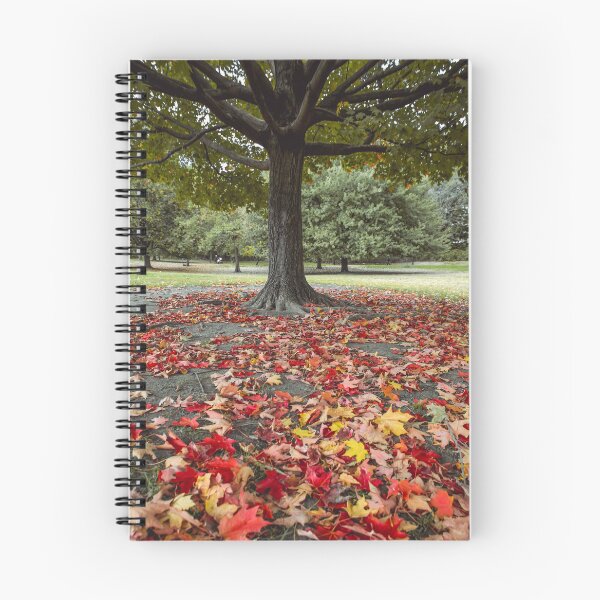 Item preview, Autumn forest designed and sold by Sansaranna.