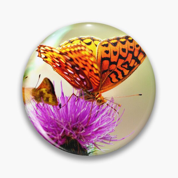 Item preview, Are we late?...... ~ Gila National Forest, New Mexico USA designed and sold by Vicki Pelham.