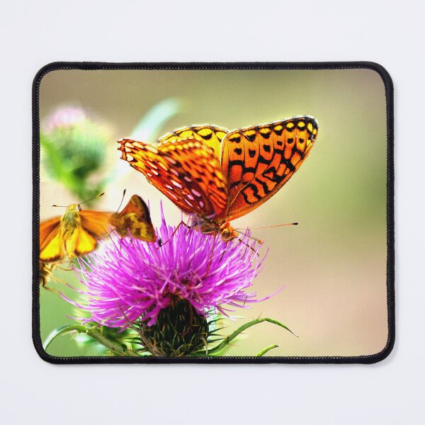 Item preview, Are we late?...... ~ Gila National Forest, New Mexico USA designed and sold by Vicki Pelham.