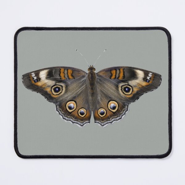 Item preview, common buckeye butterfly designed and sold by ElementalEmbers.