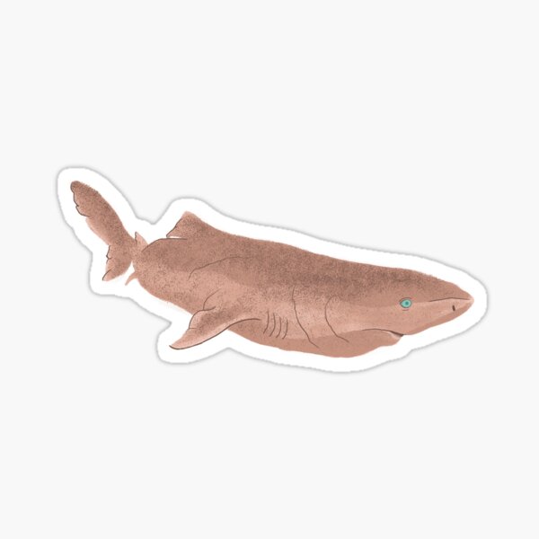 Greenland Shark Sticker
