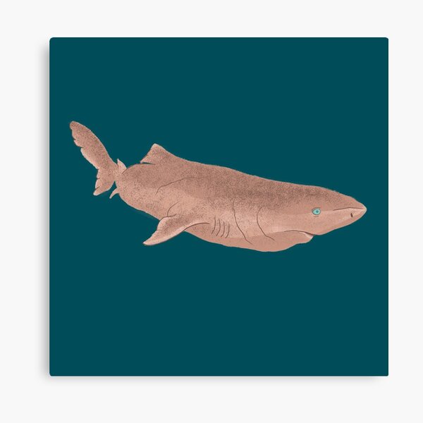 Greenland Shark Canvas Print