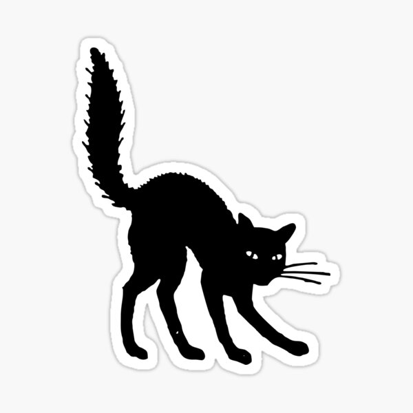 im scared cat Sticker for Sale by 360files