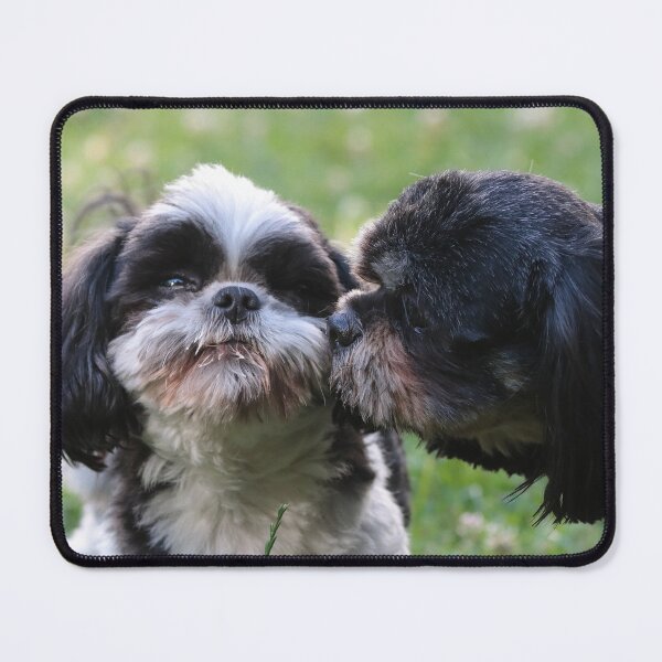 Item preview, dog kissing a dog designed and sold by ART-SUNRISE.
