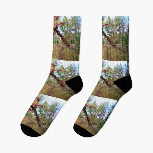 Item preview, Colorado Bend Texas State Park  designed and sold by Savannah Gibbs.
