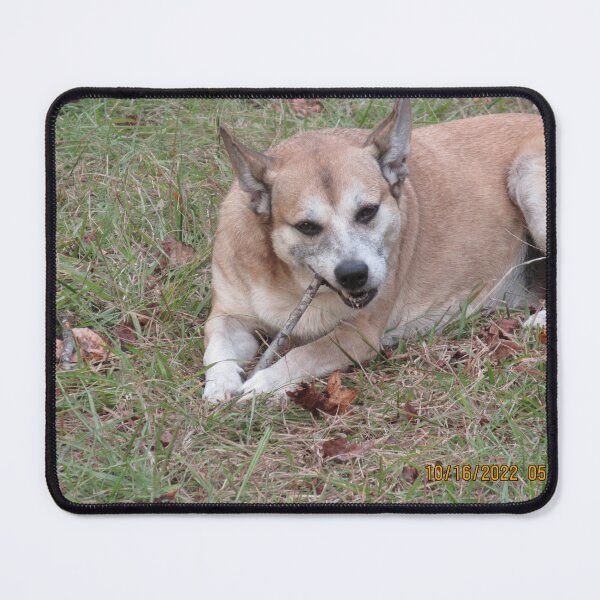 Item preview, Yummy stick! designed and sold by TornMinds.