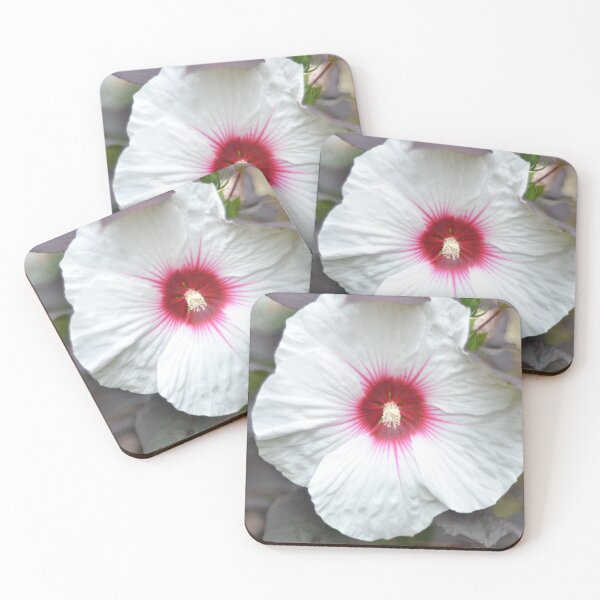Item preview, White Hibiscus designed and sold by KJMozdzen.