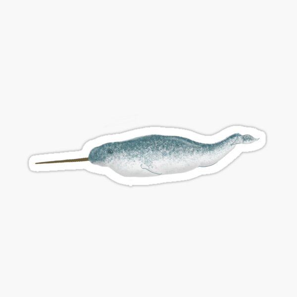 Narwhal Sticker