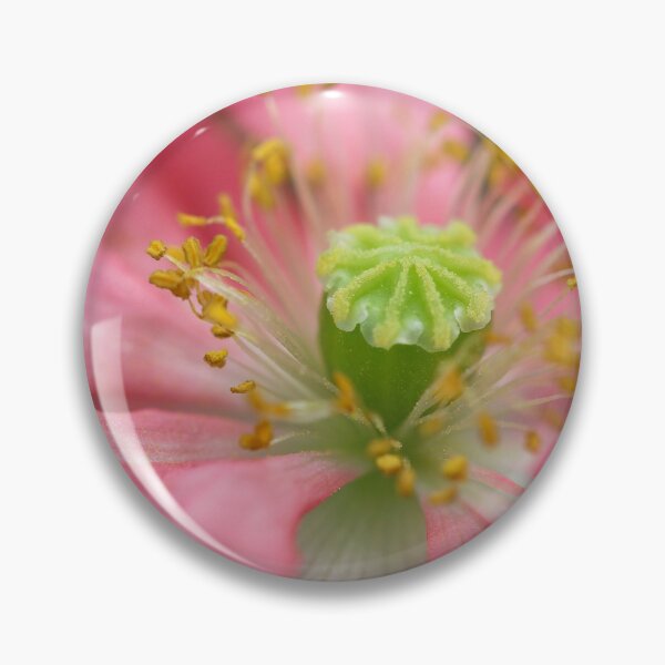 Item preview, Colorado Springs Flowers, Summer 2022 #8 designed and sold by Rachel Jeffrey.