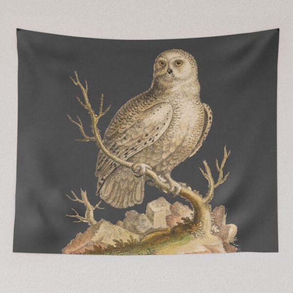 Item preview, White Owl - Bird HD vintage image from encyclopedia number 14 designed and sold by MINDTHECHERRY.