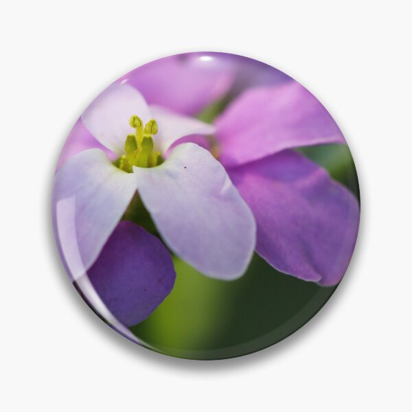 Item preview, Colorado Springs Flowers, Summer 2022 #10 designed and sold by Rachel Jeffrey.