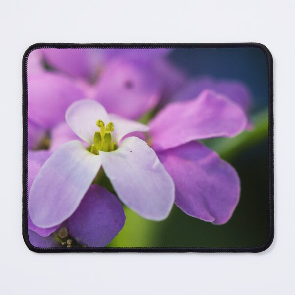 Item preview, Colorado Springs Flowers, Summer 2022 #10 designed and sold by Rachel Jeffrey.