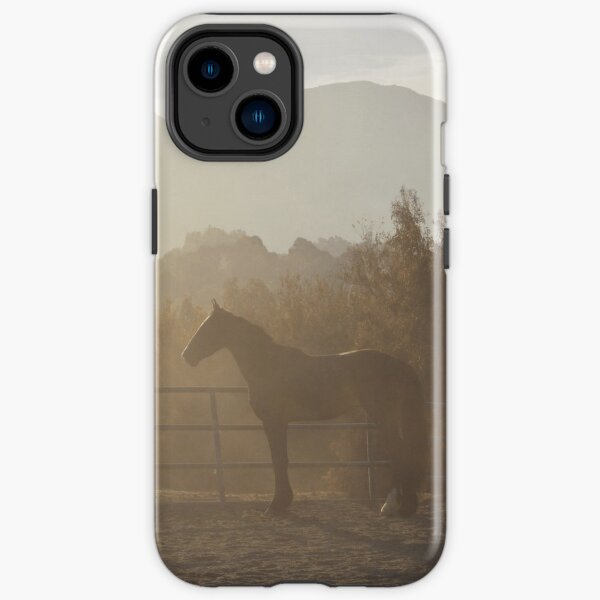 Carried Away By The Wind iPhone Tough Case