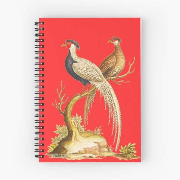 Item preview, White and Black Chinese Pheasant - Bird HD vintage image from encyclopedia number 15 designed and sold by MINDTHECHERRY.