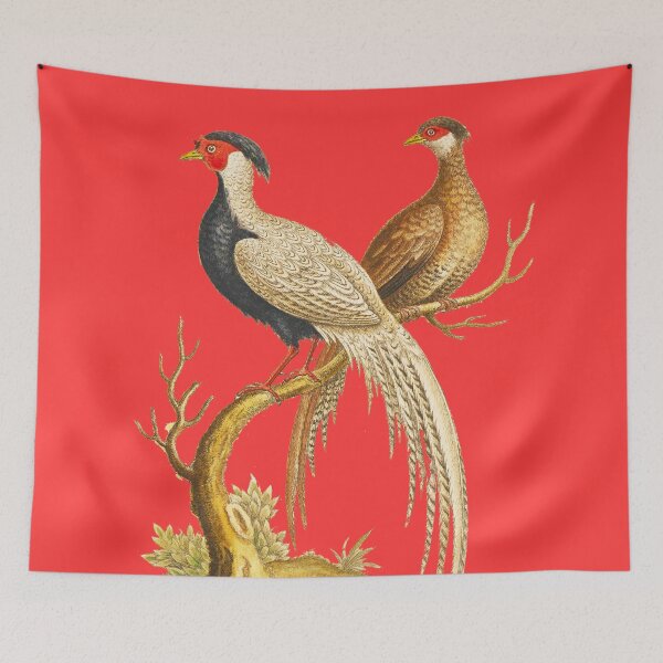 Item preview, White and Black Chinese Pheasant - Bird HD vintage image from encyclopedia number 15 designed and sold by MINDTHECHERRY.