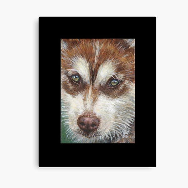 Husky #1 Canvas Print