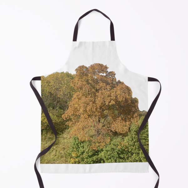 Item preview, Fall trees autumn leaves designed and sold by Artistkhg.