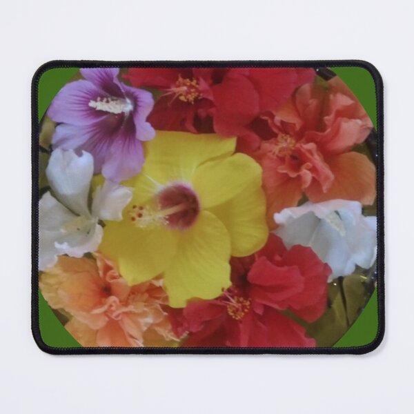Item preview, Multi-colored hibiscus flowers designed and sold by LeJeuneGifts.