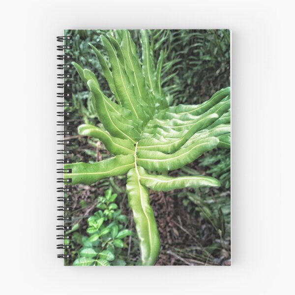 Item preview, The Come Hither Palm designed and sold by kinkatstyle.