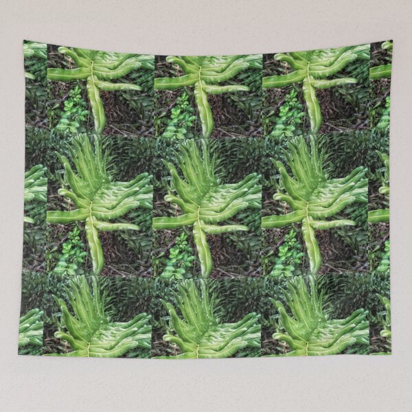 Item preview, The Come Hither Palm designed and sold by kinkatstyle.