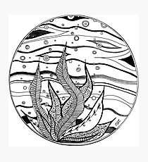 Kelp Bubbles (BW) Photographic Print