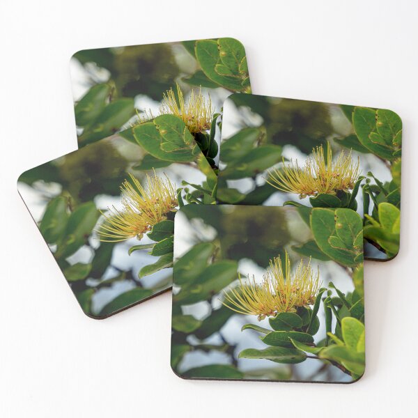 Item preview, Pua Lehua yellow and Orange designed and sold by Keola Makaiau.