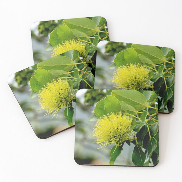 Item preview, Lehua Mamo, Metrosideros macropus designed and sold by Keola Makaiau.