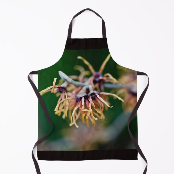 Item preview, Zaubernuss - witch hazel designed and sold by Gabriele Maurus.