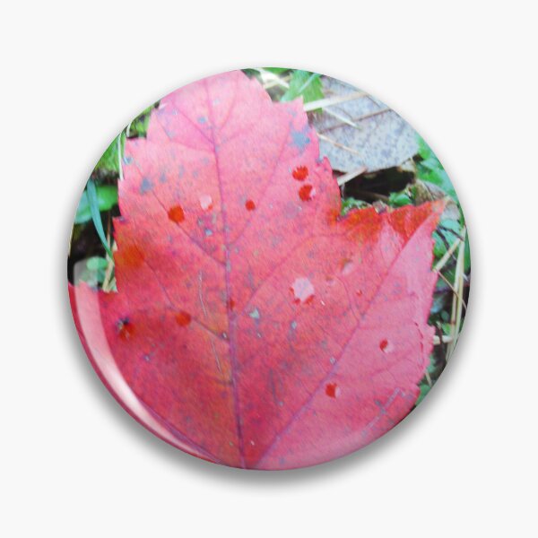 Item preview, Autumn Rain  designed and sold by Campbell Gallery.